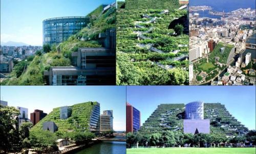 Tòa nhà ACROS Fukuoka – Biểu tượng của kiến trúc xanh Nhật Bản