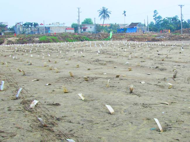 Quy Trình Xử Lý Nền Đất Yếu - Nền Móng Vững Chắc Cho Mọi Công Trình